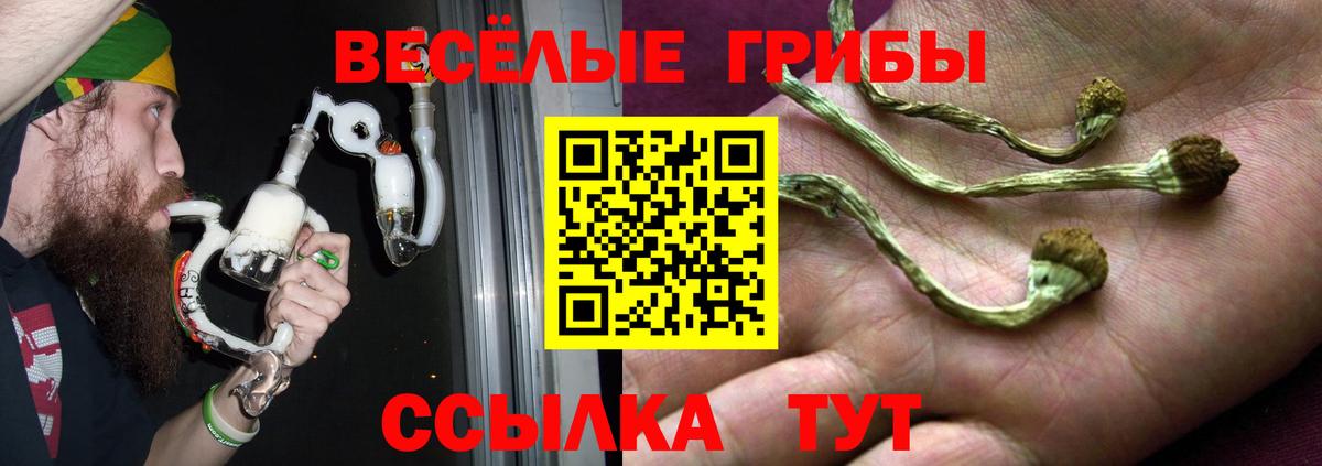 даркнет сайт  Галлюциногенные грибы Magic Shrooms  Вход с VPN  Екатеринбург  Галлюциногенные грибы мицелий 